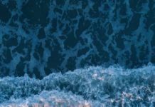 Sealogy: a virtual international event