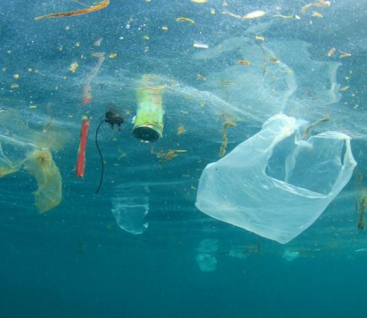 Italy-IORA partnership offers different insights on fighting plastic pollution: recent cases of Kenya and Italy