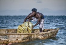 Focus on Kenya: great investment opportunities in the Blue Economy for the Italian companies