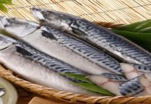 Tuna Fish Hub at Liwatoni, Kenya