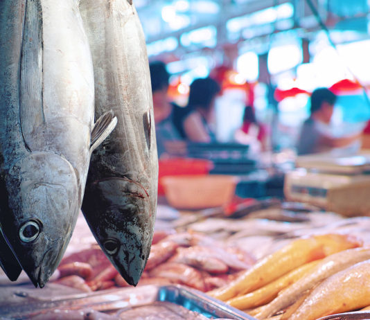 Assoittica and Intesa Sanpaolo look at the future of the fish sector