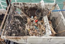 “SALVAMARE”: a law that protects the sea