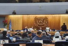 IMO Extraordinary Council Session discuss Black Sea and Sea of Azov