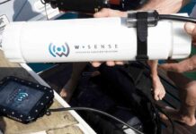 Wsense wins the Blueinvest Award