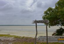 Aics is looking for a Go Blue Technical Advisor for a project in Kenya