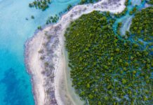 Research and sustainable management of Blue Carbon Ecosystems in the Indian Ocean