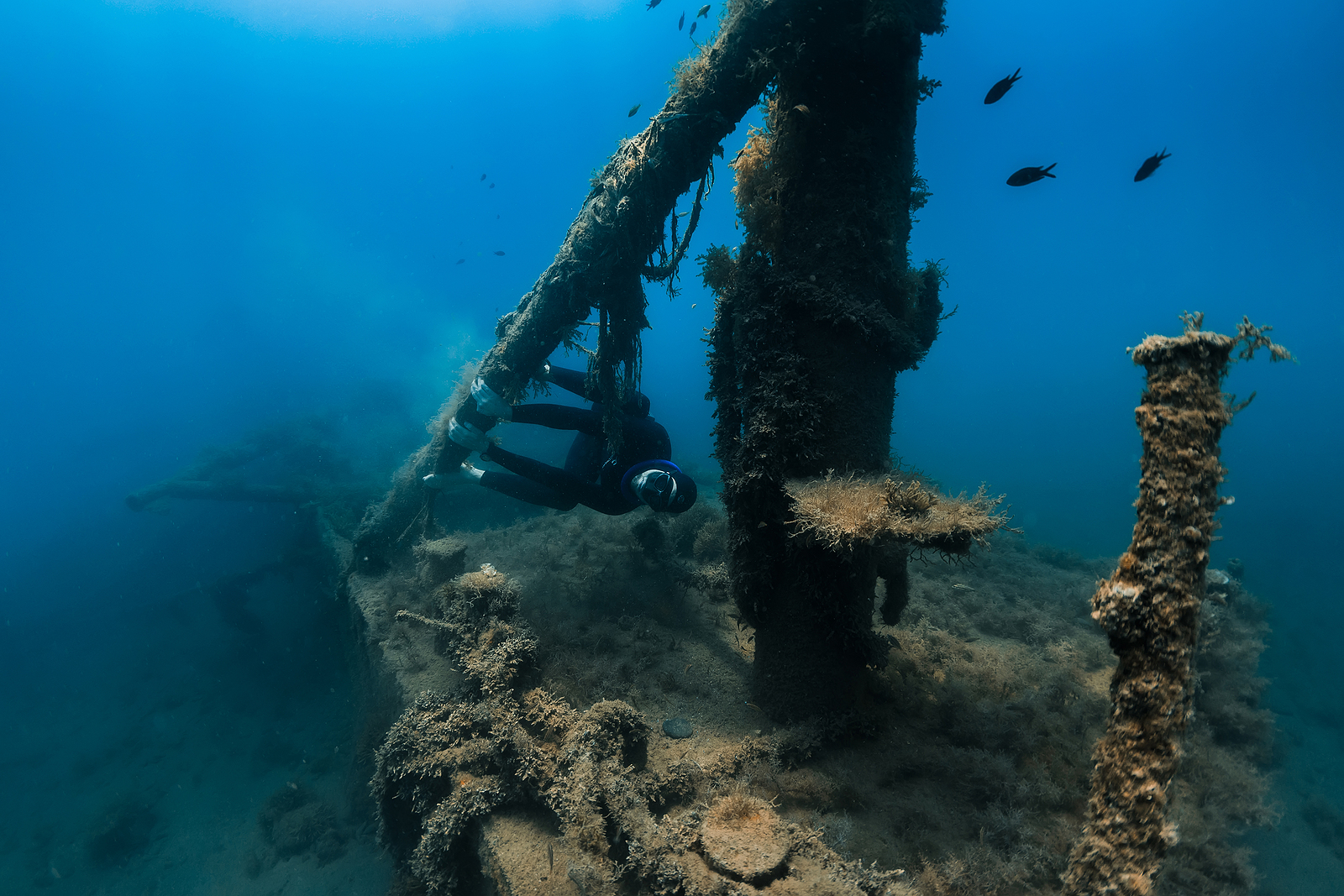 Italian multilateral mission to safeguard the underwater heritage ...