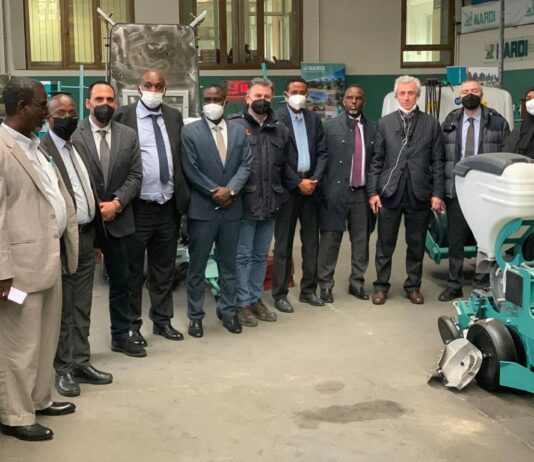 UNIDO Roundtable between Somalia and Italy