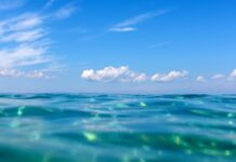 Ocean Wealth and Ocean Health through the Blue Economy