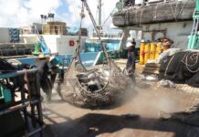 An example of sustainable tuna fishing in the Pacific Ocean – The case of the Marshall Islands
