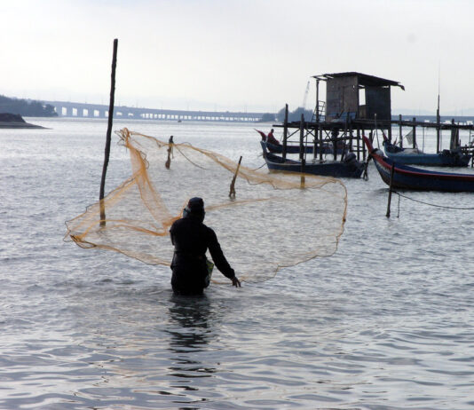 State of World Fisheries and Aquaculture